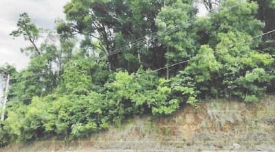 Foto 1 de 2: Terreno em leilão em Maximiliano De Almeida - RS — Lote 01- Lote Urbano em Maximiliano de Almeida/RS