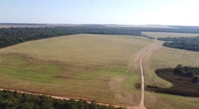 Foto 5 de 8: Area Rural em leilão em Vilhena - RO — IMÓVEL RURAL | A.T. 74,0462 HA | VILHENA/RO - LEILÃO EMPRESARIAL SISTÊMICO SICREDI