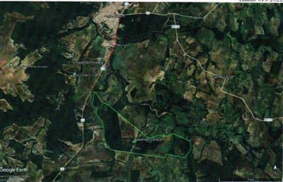 Foto 5 de 13: Area Rural em leilão em Coxim - MS, bairro Rio Verde de Mato Grosso — IMÓVEL RURAL | A.T. 62 HA - Fazenda Caracol | RIO VERDE DE MATO GROSSO/MS.