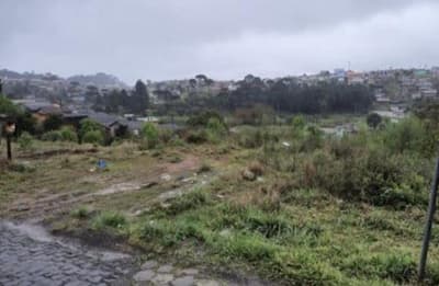Foto 6 de 10: Terreno em leilão em Santa Cecília - SC — (Parte ideal) Terreno, A.T. 3.266,62m², diferencial, Bairro Rondinha