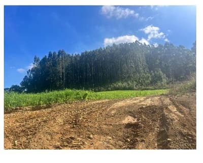 Foto 5 de 7: Terreno em leilão em Mafra - SC — Terreno rural sem benfeitorias