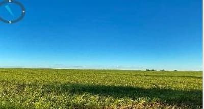 Foto 3 de 5: Area Rural em leilão em Monte Do Carmo - TO — IMÓVEL RURAL PARA AGRICULTURA 271,6972HA, FAZ. PARAÍSO EM MONTE DO CARMO-TO