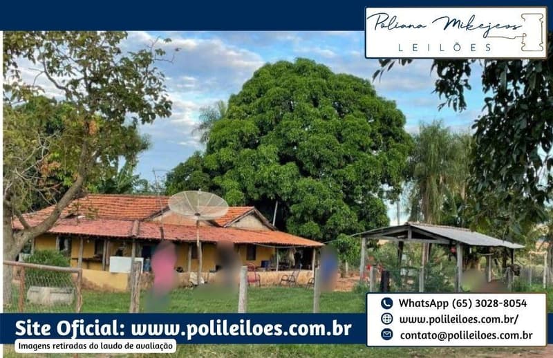 Foto 3 de 9: Area Rural em leilão em Rio Verde De Mato Grosso - MS — Gleba de terras, 146ha, 8.635m², remembramento dos lotes "Abora, "Abobora" e "São Domingos", em Rio Verde/MS