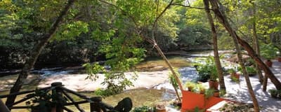 Foto 7 de 14: Area Rural em leilão em Rio Verde De Mato Grosso - MS — 02 IMÓVEIS RURAIS COM BENFEITORIAS, A.T. 8.000HA EM RIO VERDE DE MATO GROSSO-MS