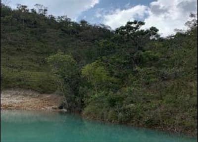 Foto 3 de 4: Area Rural em leilão em Alto Paraíso De Goiás - GO — IMÓVEL RURAL COM 24,07.77HA, FAZENDA SZERVINSK EM ALTO PARAÍSO-GO
