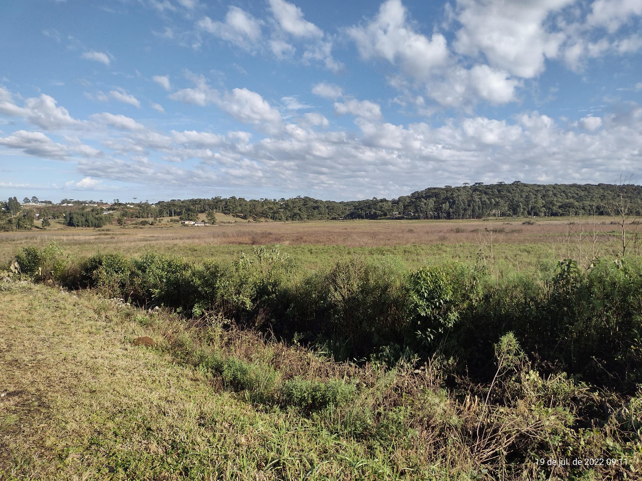 Foto 26 de 50: Terreno em leilão em Irati - PR — Terreno rural com área de 74.282,70m², Irati/PR