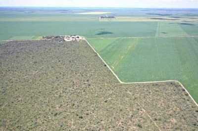 Terreno em leilão em Formosa Do Rio Preto - BA — Terreno Rural Locado em Formosa do Rio Preto/BA