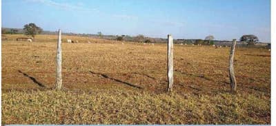 Foto 5 de 7: Area Rural em leilão em Camapuã - MS — FAZENDA ÁGUA BOA, 888 HA, CASA SEDE, CURRAL, GALPÃO, EXCELENTE HIDROGRAFIA EM CAMAPUÃ/MS