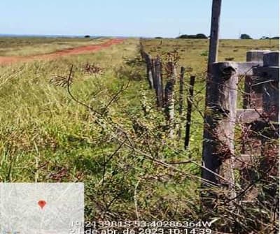 Foto 4 de 12: Area Rural em leilão em Camapuã - MS — 33,33% DO IMÓVEL MAT Nº 24.710 DE CAMAPUÃ/MS