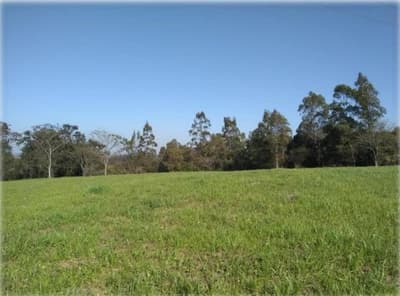 Foto 10 de 18: Terreno em leilão em Nova Esperança - PR — IMÓVEL URBANO - VENDA DE TRÊS MATRÍCULAS EM CONJUNTO- Em NOVA ESPERANÇA/PR