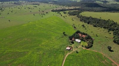 Foto 2 de 6: Area Rural em leilão em Costa Rica - MS — 50% DA PARTE IDEAL DO EXECUTADO SOB IMÓVEL DA MATRÍCULA 21.296 DO REGISTRO DE IMÓVEIS DE COSTA RICA/MS