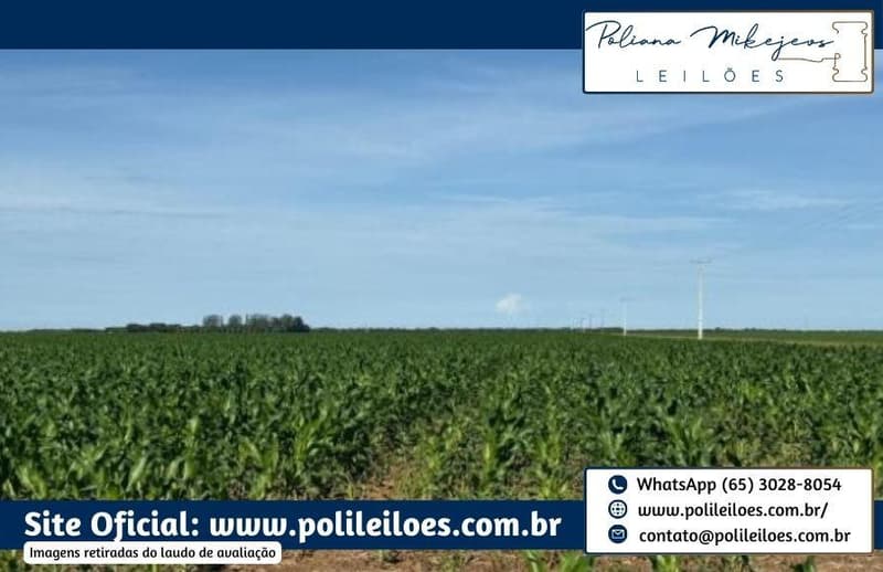Foto 5 de 7: Area Rural em leilão em Sorriso - MT — Área Rural, Fração Ideal 157,7447ha, AT. 315,489ha, denominado Dal, Bosco Fazenda Rondinha II, Gleba Rio Verde/Lote Primavera, Sorriso/MT
