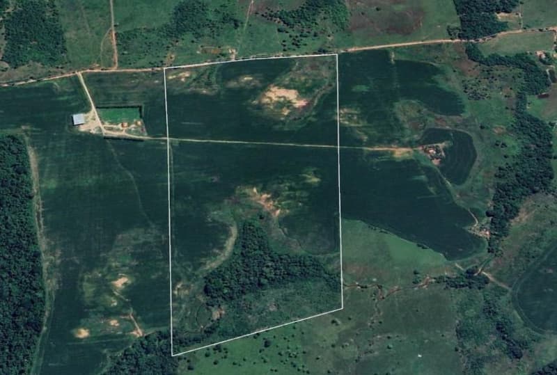 Foto 6 de 7: Area Rural em leilão em Cacoal - RO — IMÓVEL RURAL | 48,4754 HA GLEBA SETOR PROSPERIDADE | CACOAL/RO