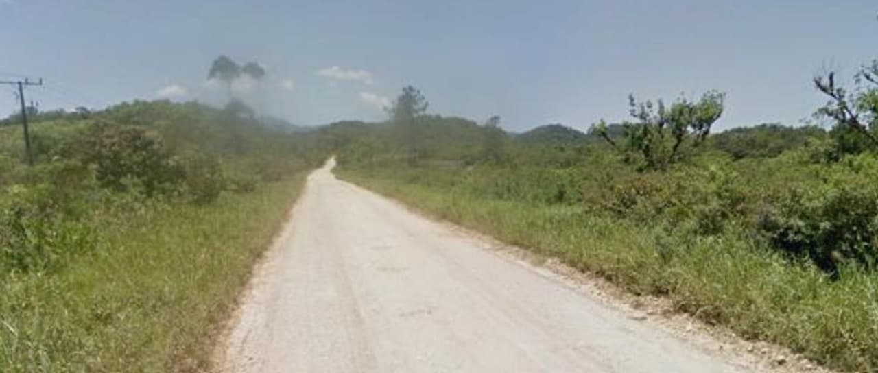 Foto 2 de 6: Area Rural em leilão em Guaraqueçaba - PR — Imóvel rural com 249,80 hectares, em Guaraqueçaba/PR.