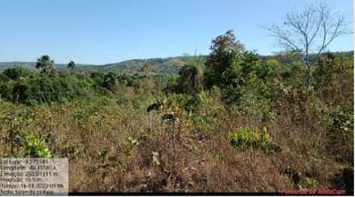 Foto 5 de 7: Area Rural em leilão em Dois Irmãos Do Tocantins - TO — IMÓVEL RURAL | A.T.45,97 HA FAZ. GALILEIA PECUÁRIA | DOIS IRMÃOS DO TOCANTINS/TO