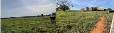 Foto 1 de 4: Area Rural em leilão em Zacarias - SP — Imóvel rural com área total de 16.94,00 hectares - Zacarias-SP