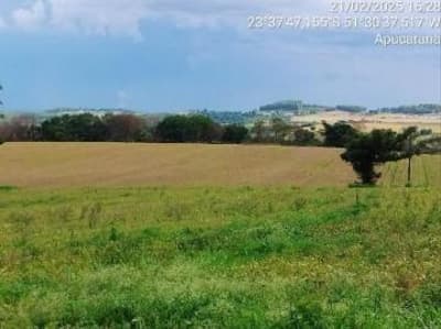 Foto 4 de 6: Area Rural em leilão em Apucarana - PR — IMÓVEL RURAL COM ÁREA DE 5,00 Alqueires Paulistas- Em APUCARANA/PR