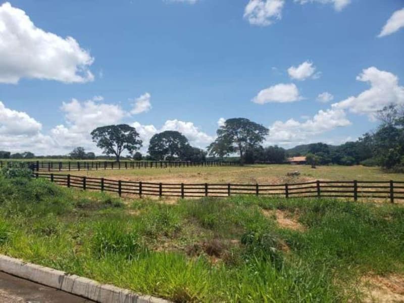 Foto 7 de 11: Area Rural em leilão em Guiratinga - MT — FAZENDA MATO GROSSO 615 HECTARES