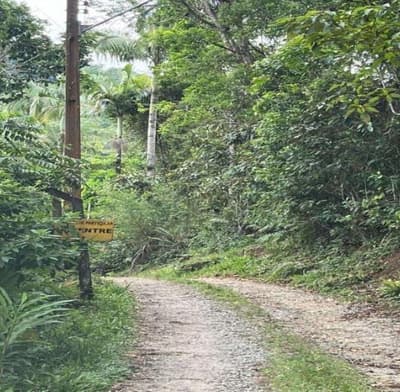 Foto 2 de 5: Terreno em leilão em Matinhos - PR — Terreno Urbano, A.T. 624m², CIDADE BALNEÁRIA CAIUBÁ