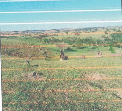 Foto 11 de 13: Area Rural em leilão em Alto Alegre Dos Parecis - RO — IMÓVEL RURAL | A.T 26,44 HA | ALTO ALEGRE DOS PARECIS, COMARCA DE SANTA LUZIA D'OESTE/RO