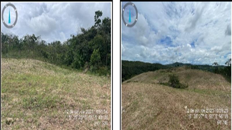 Foto 7 de 10: Area Rural em leilão em Itapuranga - GO — IMÓVEL RURAL | A.T. 67,0907 HA | FAZENDA CANASTRINHA | ITAPURANGA/GO