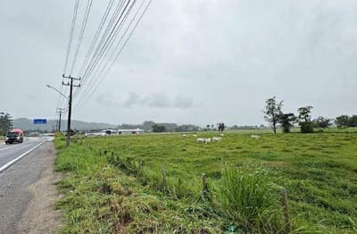 Foto 3 de 4: Terreno em leilão em Gaspar - SC — Terreno com área de 4.561,35m², Gaspar/SC