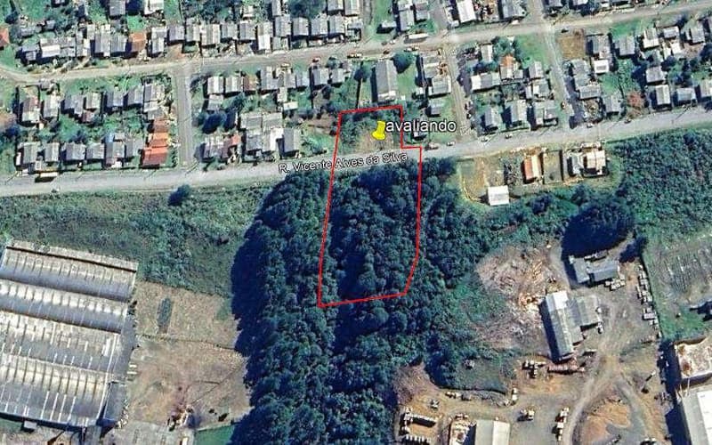 Foto 1 de 2: Terreno em leilão em Santa Cecília - SC — Terreno, A.T. 8.636m², Bairro Rondinha (Parte ideal)