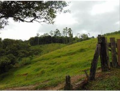 Foto 1 de 6: Terreno em leilão em Taió - SC — TERRENO RURAL com área total de 183,33 m²
