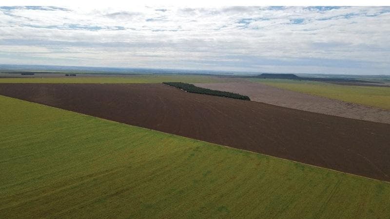 Foto 13 de 30: Area Rural em leilão em Paraíso Das Águas - MS — IMÓVEL RURAL | 400 HA (FRAÇÃO IDEAL) - FAZ. LOTE BAÚS PERDIDO I SECÇÃO B | PLANTIO PARA SOJA E MILHO | PARAÍSO DAS ÁGUAS/MS
