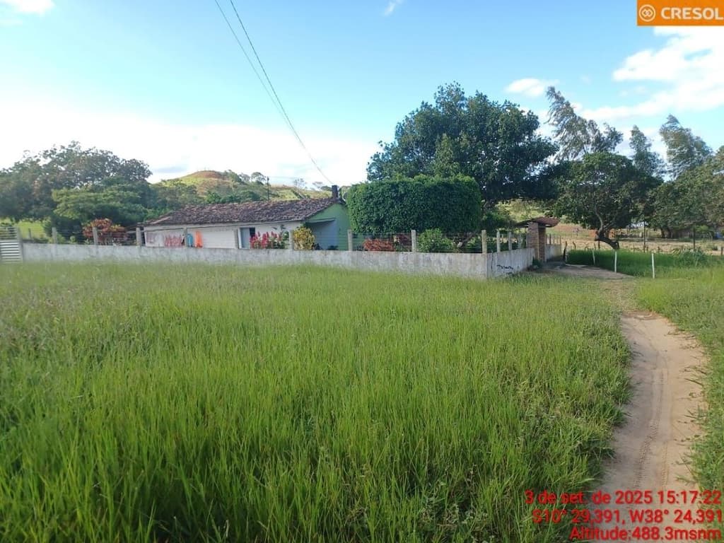 Foto 9 de 10: Area Rural em leilão em Cícero Dantas - BA — IMÓVEL RURAL Em CÍCERO DANTAS/BA