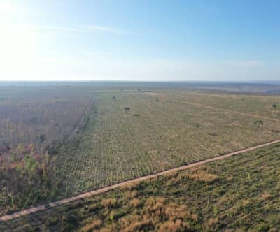 Area Rural em leilão em Santa Fé De Minas - MG — FAZENDA TRÊS RIACHOS, COM ÁREA TOTAL DE 601,1499 HÁ SANTA FÉ MG