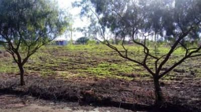 Terreno em leilão em Terra Roxa - PR, bairro Residencial Elisa — Terreno com A.T de 335,90m² em Terra Roxa/PR