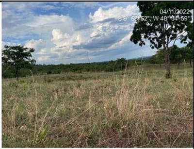 Foto 6 de 10: Area Rural em leilão em Monte Santo Do Tocantins - TO — IMÓVEL RURAL, FAZENDA FARTURA II, 140,9088HA, MONTE SANTO 1 EM MONTE SANTO DO TOCANTINS/TO - EXPLORAÇÃO DE PECUÁRIA
