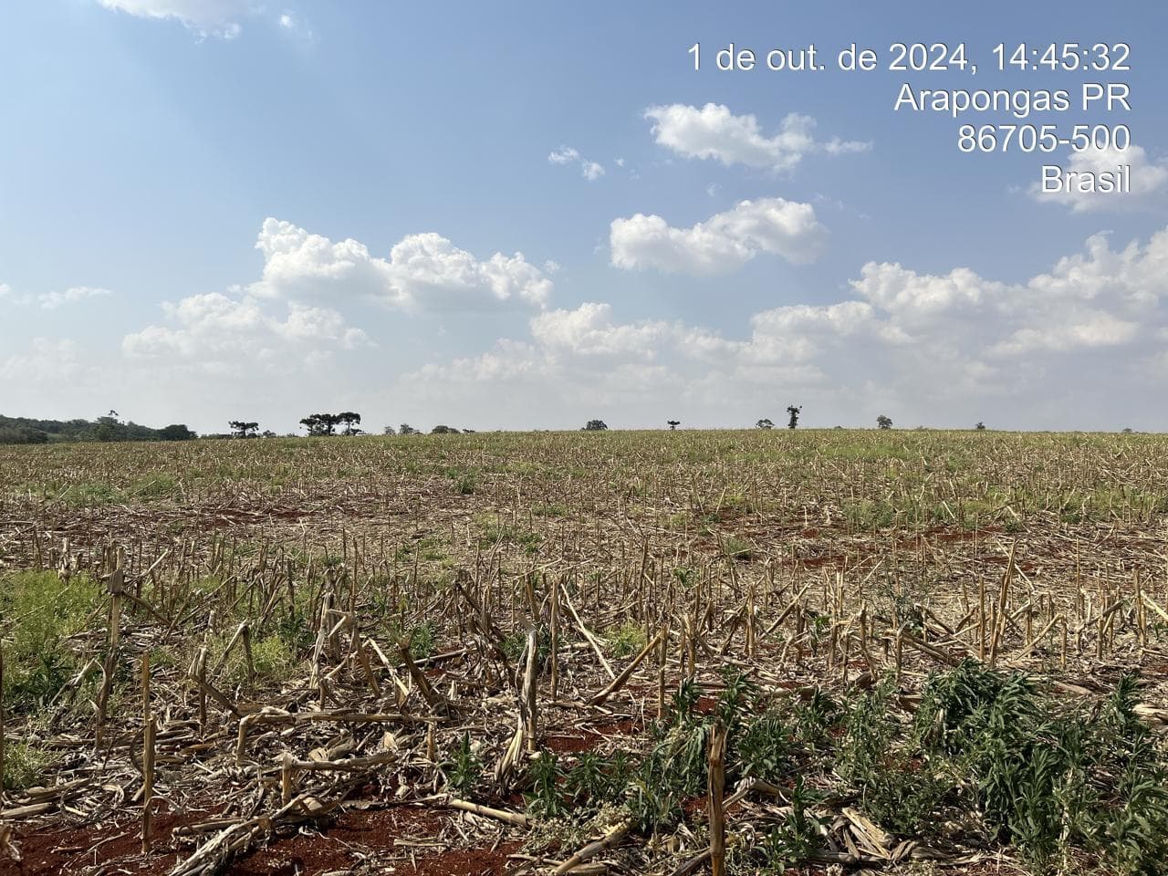 Foto 15 de 21: Area Rural em leilão em Arapongas - PR — Fração ideal de 6,255% do Lote rural, coma área 28100,83m², Arapongas/PR