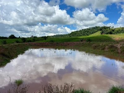 Area Rural em leilão em Alta Floresta D'oeste - RO — IMÓVEL RURAL | A.T. 49,79 HA | ALTA FLORESTA DOESTE/RO