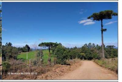 Foto 13 de 14: Area Rural em leilão em Pinhão - PR — Parte ideal de 484,72 hectares,, correspondente a 85,039% da Área rural Medindo 5.700.000,00m2, Localizada no quinhão 1-J, no imóvel Pinhão-Faxinal dos Ribeiros, situado no município e comarca de Pinhão/PR