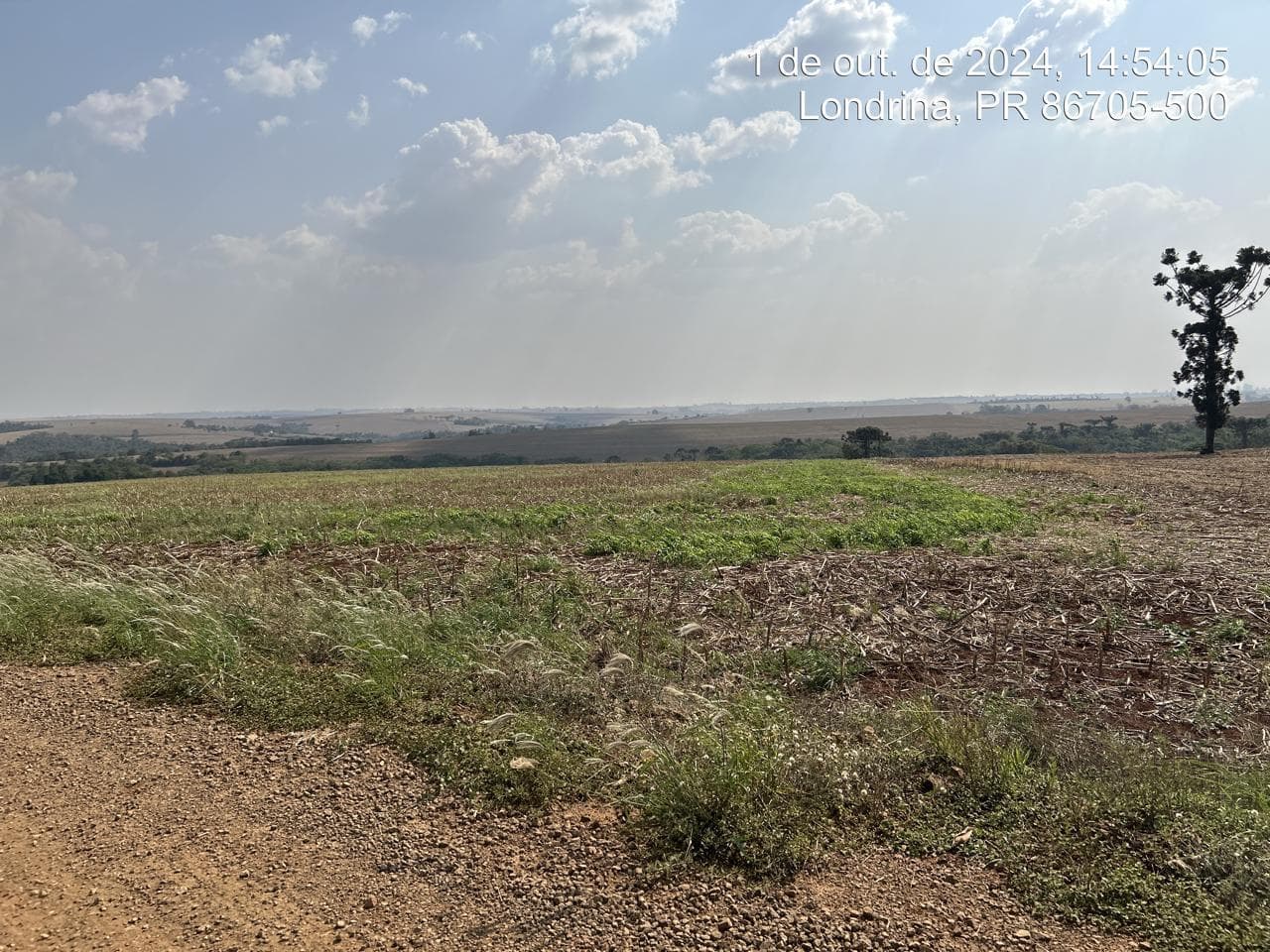 Foto 19 de 21: Area Rural em leilão em Arapongas - PR — Fração ideal de 6,255% do Lote rural, coma área 28100,83m², Arapongas/PR