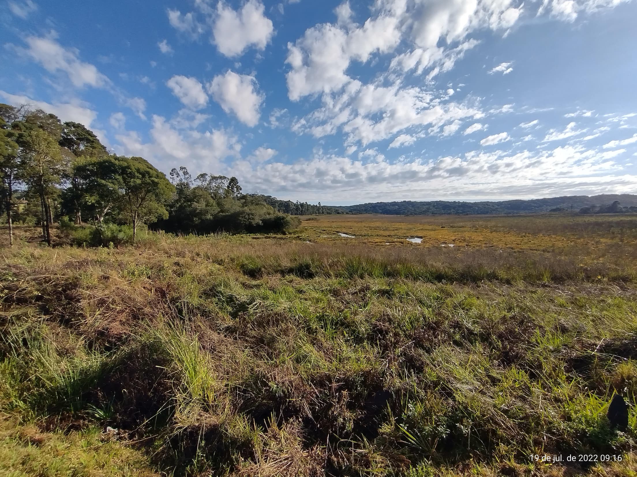 Foto 13 de 50: Terreno em leilão em Irati - PR — Terreno rural com área de 74.282,70m², Irati/PR