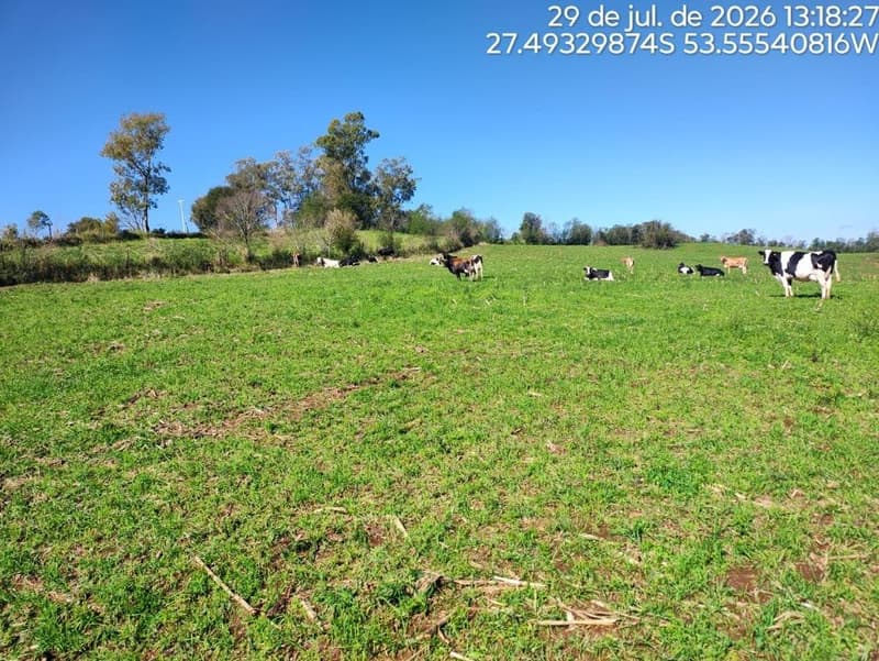 Foto 4 de 16: Terreno em leilão em Erval Seco - RS, bairro Interior — IMÓVEL RURAL COM ÁREA DE de 107.819,20 m2, EM ERVAL SECO/RS