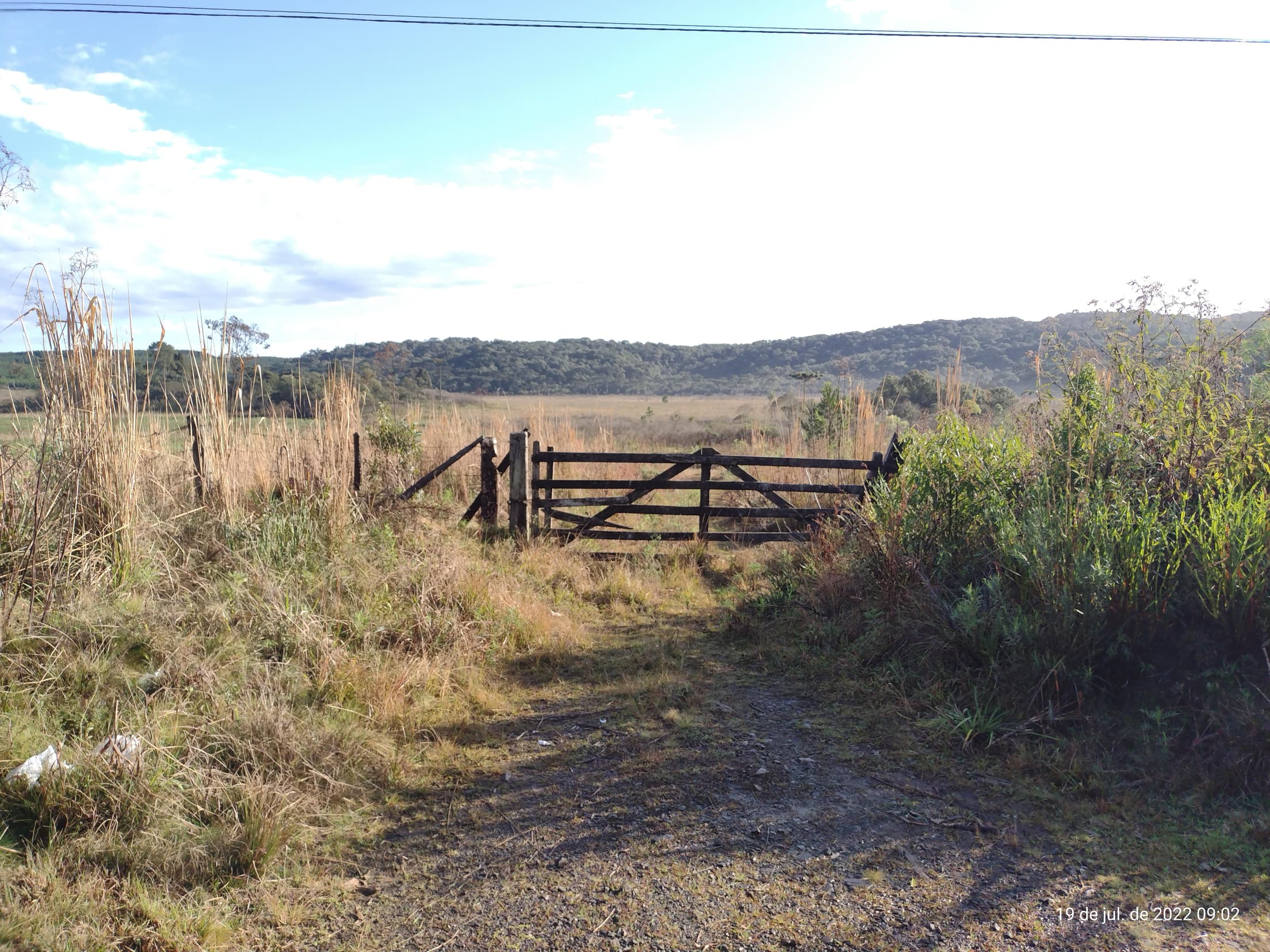 Foto 43 de 50: Terreno em leilão em Irati - PR — Terreno rural com área de 74.282,70m², Irati/PR