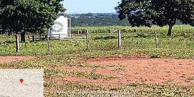 Foto 7 de 12: Area Rural em leilão em Camapuã - MS — 33,33% DO IMÓVEL MAT Nº 24.710 DE CAMAPUÃ/MS