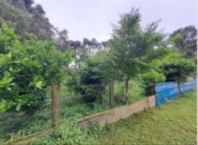 Foto 16 de 24: Area Rural em leilão em Correia Pinto - SC — IMÓVEL RURAL COM ÁREA TOTAL DE 122.223m² - CORREIA PINTO/SC