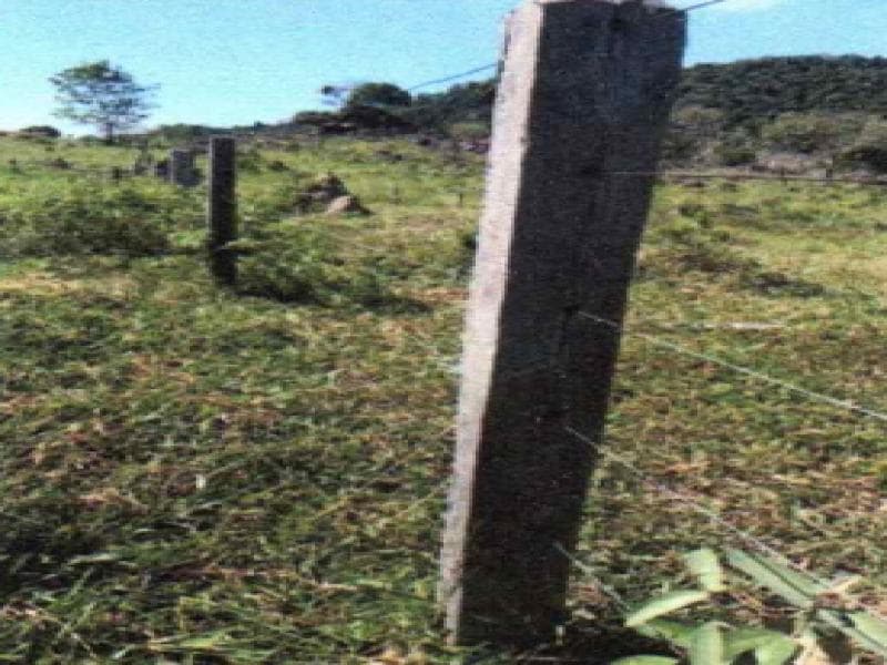Foto 4 de 6: Area Rural em leilão em Ministro Andreazza - RO — Fazenda, 33.2 ha, Ministro Andreazza / RO