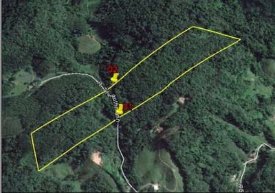 Foto 2 de 4: Area Rural em leilão em Timbó - SC — Área rural medindo 25 hectares, Estrada De Servidão, Timbó/SC - Rec Judic Porcelana Schmidt