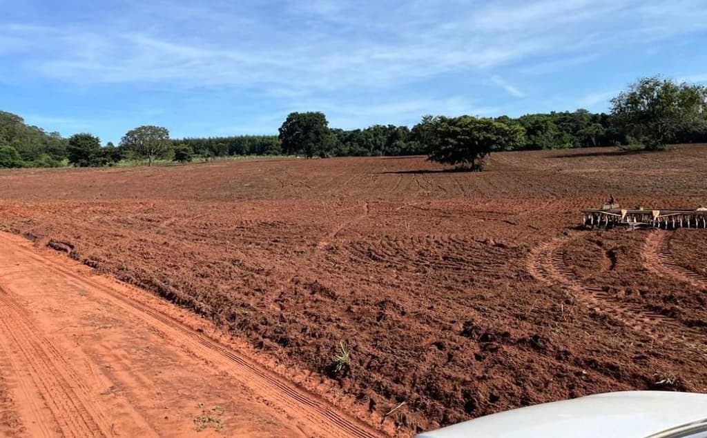 Foto 10 de 12: Area Rural em leilão em Dom Aquino - MT — IMÓVEL RURAL | A.T. 138,59 HA | DOM AQUINO - MT