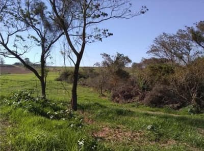 Foto 9 de 9: Area Rural em leilão em Nova Esperança - PR — IMÓVEL RURAL COM ÁREA TOTAL DE 30.548,00 m2 EM NOVA ESPERANÇA-PR