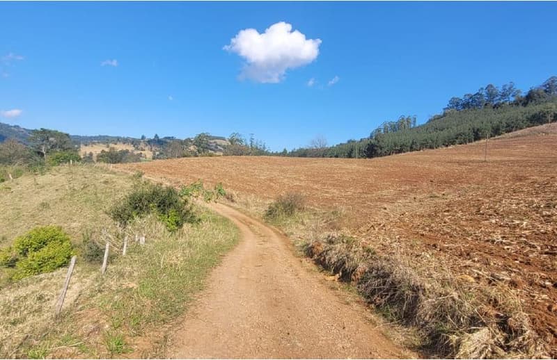 Foto 5 de 8: Area Rural em leilão em Anchieta - SC — Lote Rural 72.600m² Desocupado em Anchieta/SC