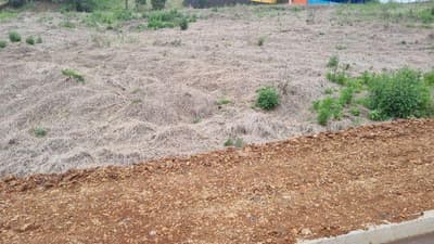 Foto 2 de 5: Terreno em leilão em Saudades - SC — LOTE URBANO Nº 04, DA QUADRA Nº 122, LOCALIZADO EM SAUDADES/SC ÁREA DE 360M²