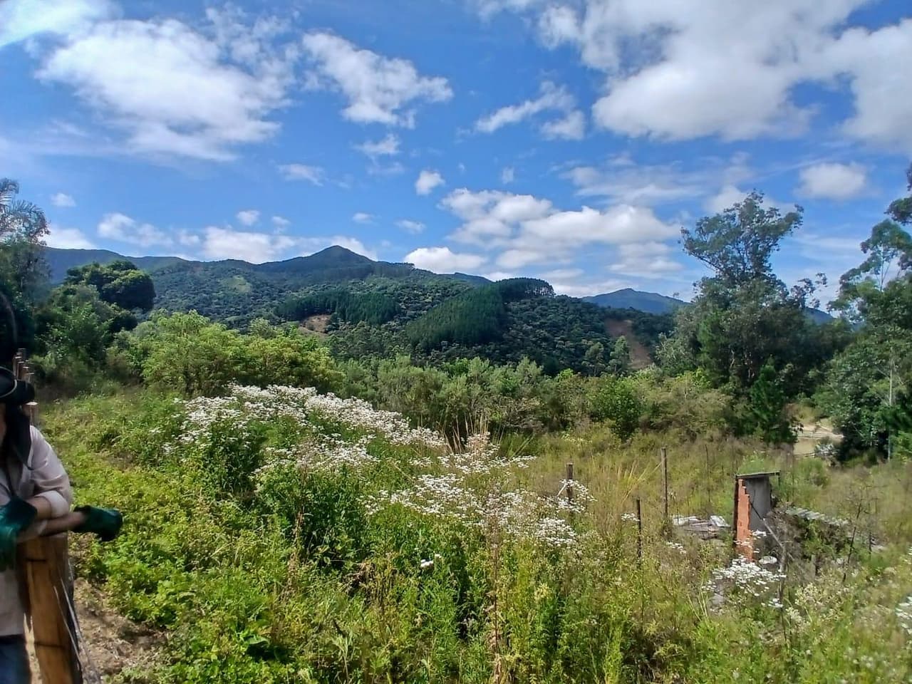 Foto 7 de 18: Area Rural em leilão em Anitápolis - SC — IMÓVEL RURAL COM ÁREA TOTAL DE 30.704,71m². EM ANITÁPOLIS-SC