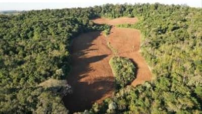 Foto 12 de 13: Area Rural em leilão em Nova Esperança Do Sudoeste - PR — LOTE RURAL EM SALTO DO LONTRA-PR
